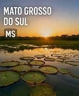 Mato Grosso do Sul