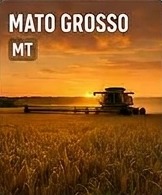 Mato Grosso